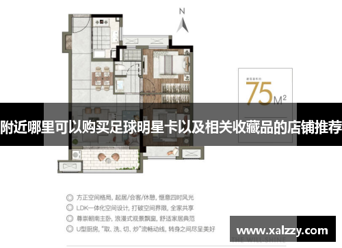 附近哪里可以购买足球明星卡以及相关收藏品的店铺推荐